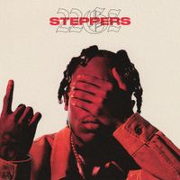 22Gz - Steppers