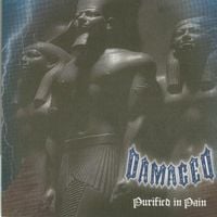 Damaged - Purified in Pain