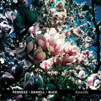 Fennesz &bull; Daniell &bull; Buck - Knoxville