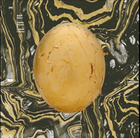 Danny Brown & Clams Casino - Worth It
