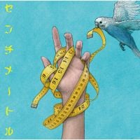 the peggies - Centimeter