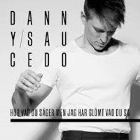 Danny Saucedo - H&ouml;r vad du s&auml;ger men jag har gl&ouml;mt vad du sa