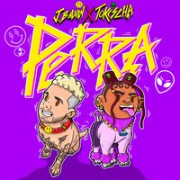 J Balvin & Tokischa - Perra