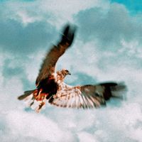 with purpose - a thread of what to believe