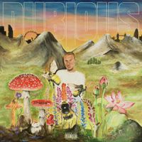 Feux - DUBIOUS
