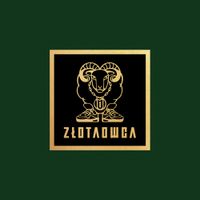 Paluch - Złota Owca