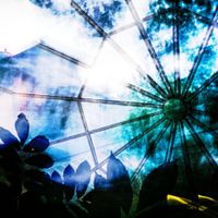 Flower Language - Dreams in a Different Place