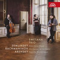 Smetana Trio - Piano Trio in D minor / Trio &eacute;l&eacute;giaque No. 1 in G minor / Piano Trio No. 1 in D minor