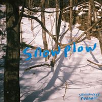 Runnner - Snowplow