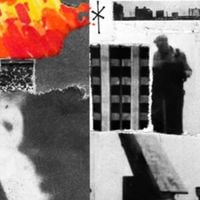 Wiki - Roof / Remarkably
