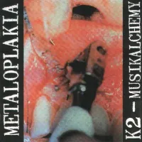 K2 - Metaloplakia