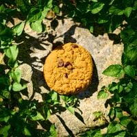 C418 - Cookie Clicker