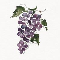 Phlocalyst, Satyr & Myríad - Cuv&eacute;e