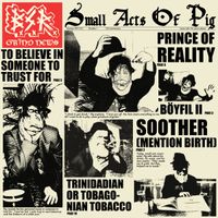Parlamentarisk Sodomi​ / ​BxSxRx - Untitled / Small Acts of Pig