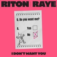 Riton & RAYE - I Don&rsquo;t Want You