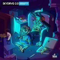 Pedro LaDroga & $kyhook - V&iacute;a Digital (Skydrvg 2.0)