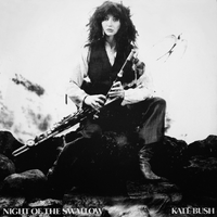 Kate Bush - Night of the Swallow