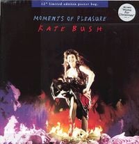 Kate Bush - Moments of Pleasure
