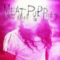 Meat Puppets - Too High to Die