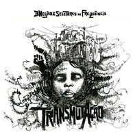 BNeg&atilde;o & Seletores De Frequ&ecirc;ncia - TransmutA&ccedil;&atilde;o
