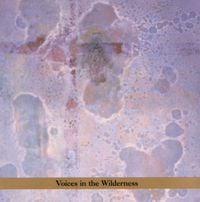 John Zorn - Masada Anniversary Edition Vol. 2: Voices in the Wilderness