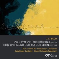 Gaechinger Cantorey - J.S. Bach: Ich hatte viel Bekümmernis BWV 21; Herz und Mund und Tat und Leben BWV 147