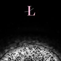 Loscil - LUX Refractions