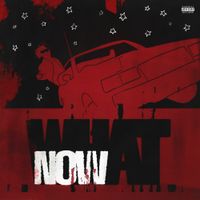DC THE DON - What Now?