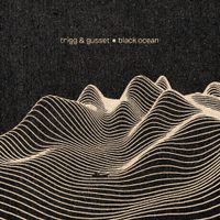 Trigg & Gusset - Black Ocean