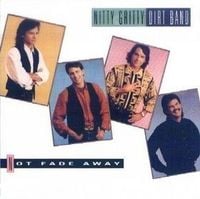 Nitty Gritty Dirt Band - Not Fade Away