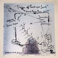 Suzanne Ciani - Voices of Packaged Souls