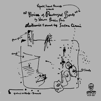 Suzanne Ciani - Voices of Packaged Souls