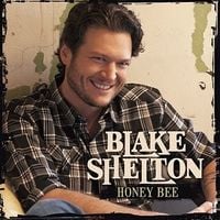 Blake Shelton - Honey Bee