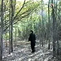 YABUJIN - Lamianaga Files