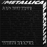 White Reaper - Sad But True