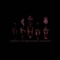 Boundaries - Spring Demonstration