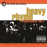 The Brand New Heavies - Heavy Rhyme Experience: Vol. 1