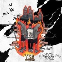 YSB OG - Pardon My Back