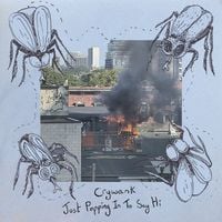 Crywank - Just Popping In To Say Hi