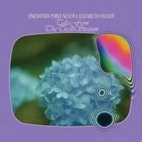 Oneohtrix Point Never & Elizabeth Fraser - Tales From The Trash Stratum