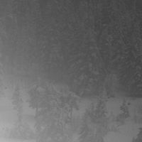 Vintlechkeit - Til Dodens Vinter Alltid&hellip;