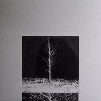 Francisco Oliveira - On the Act Of Reminding