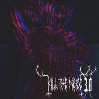 Amazing Blizzard - Kill the Noise 3.0