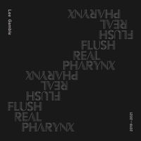 Lee Gamble - Flush Real Pharynx 2019​-​2021