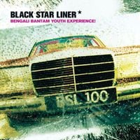 Black Star Liner - Bengali Bantam Youth Experience!