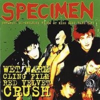 Specimen - Wet Warm Clingfilm Red Velvet Crush