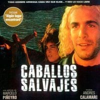 Andrés Calamaro - Caballos Salvajes