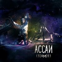 Ассаи [Assai] - ОМ