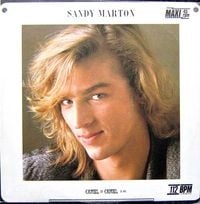 Sandy Marton - Camel by Camel