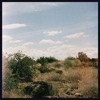 Hippo Campus - South